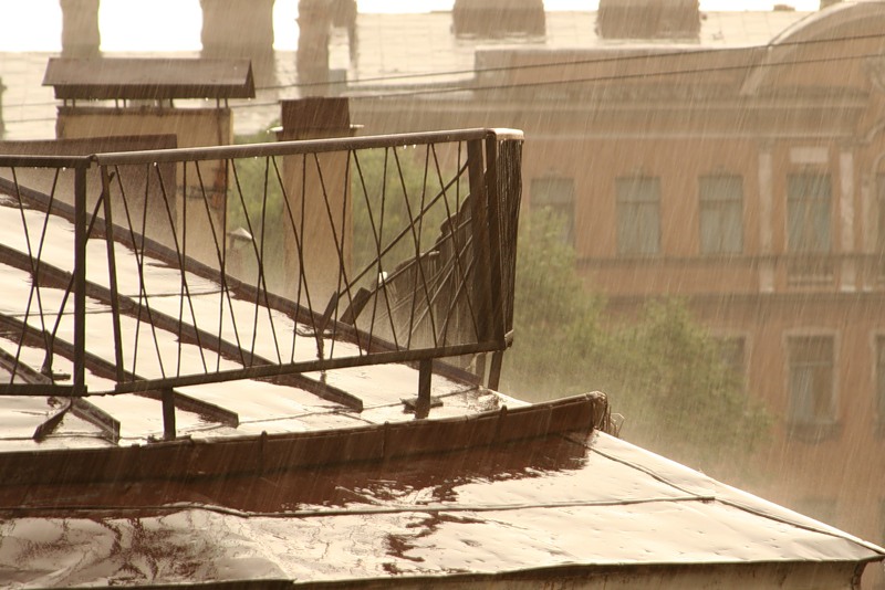 Мурлычет рядом кошка