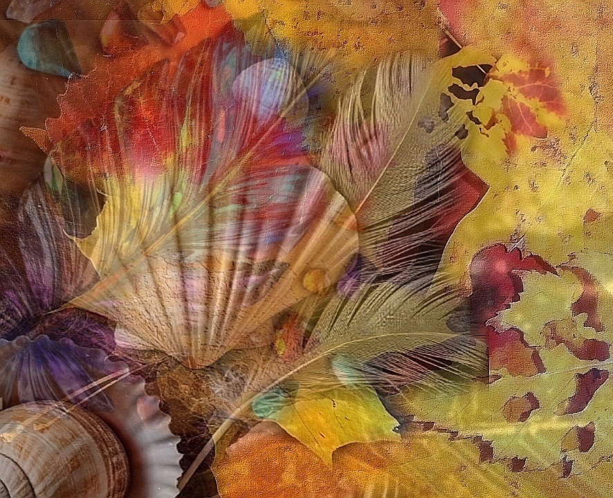 Короткие фразы