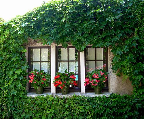 Домик в деревне