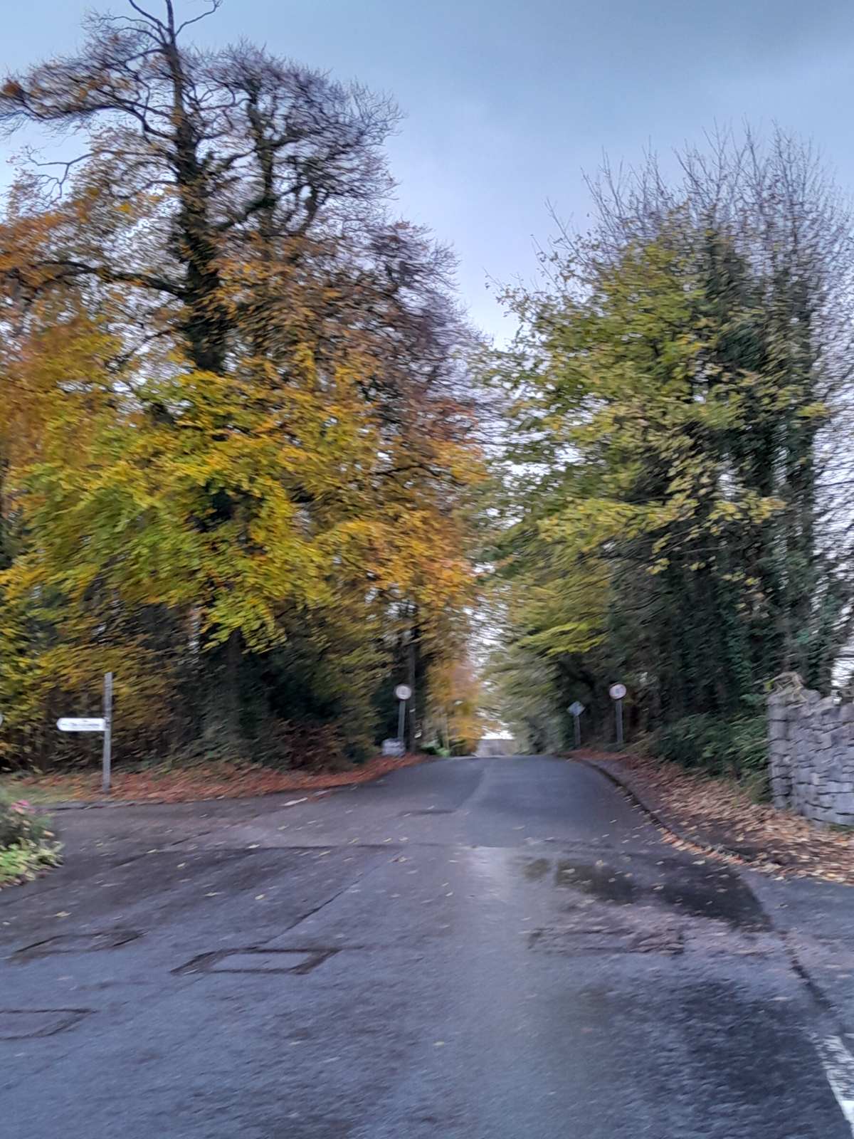 Плакала осень