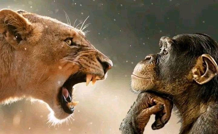 Раздражение