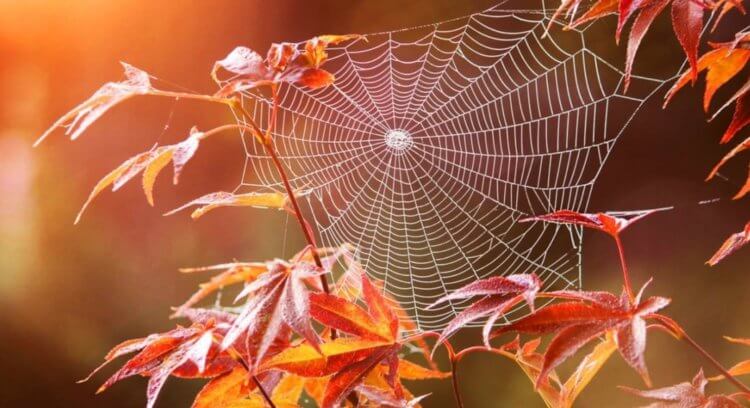 Отпуск в лето