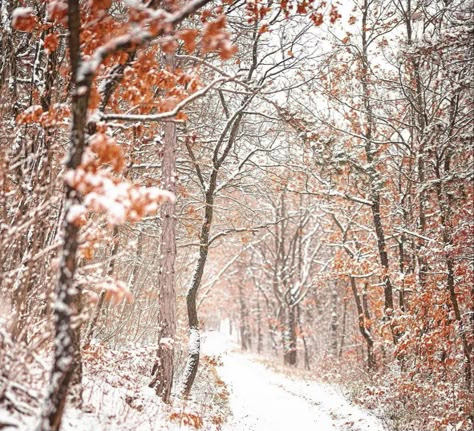 Волшебный снег
