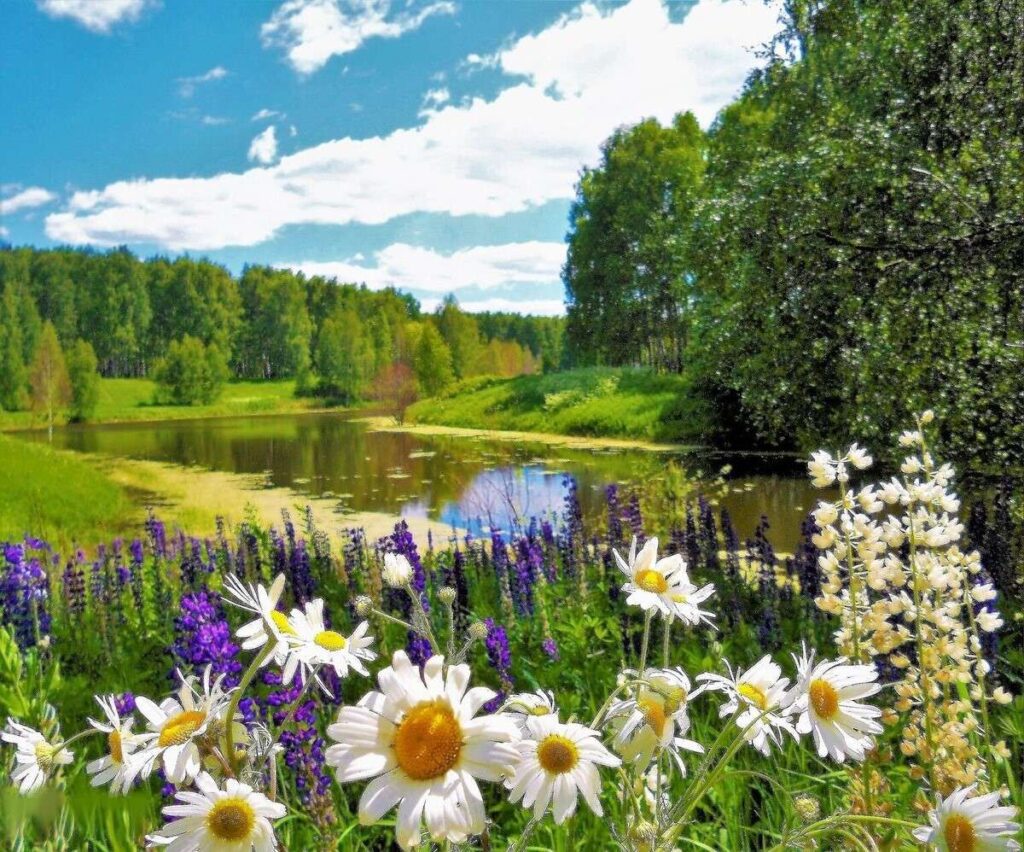 Июньский звон - сонет