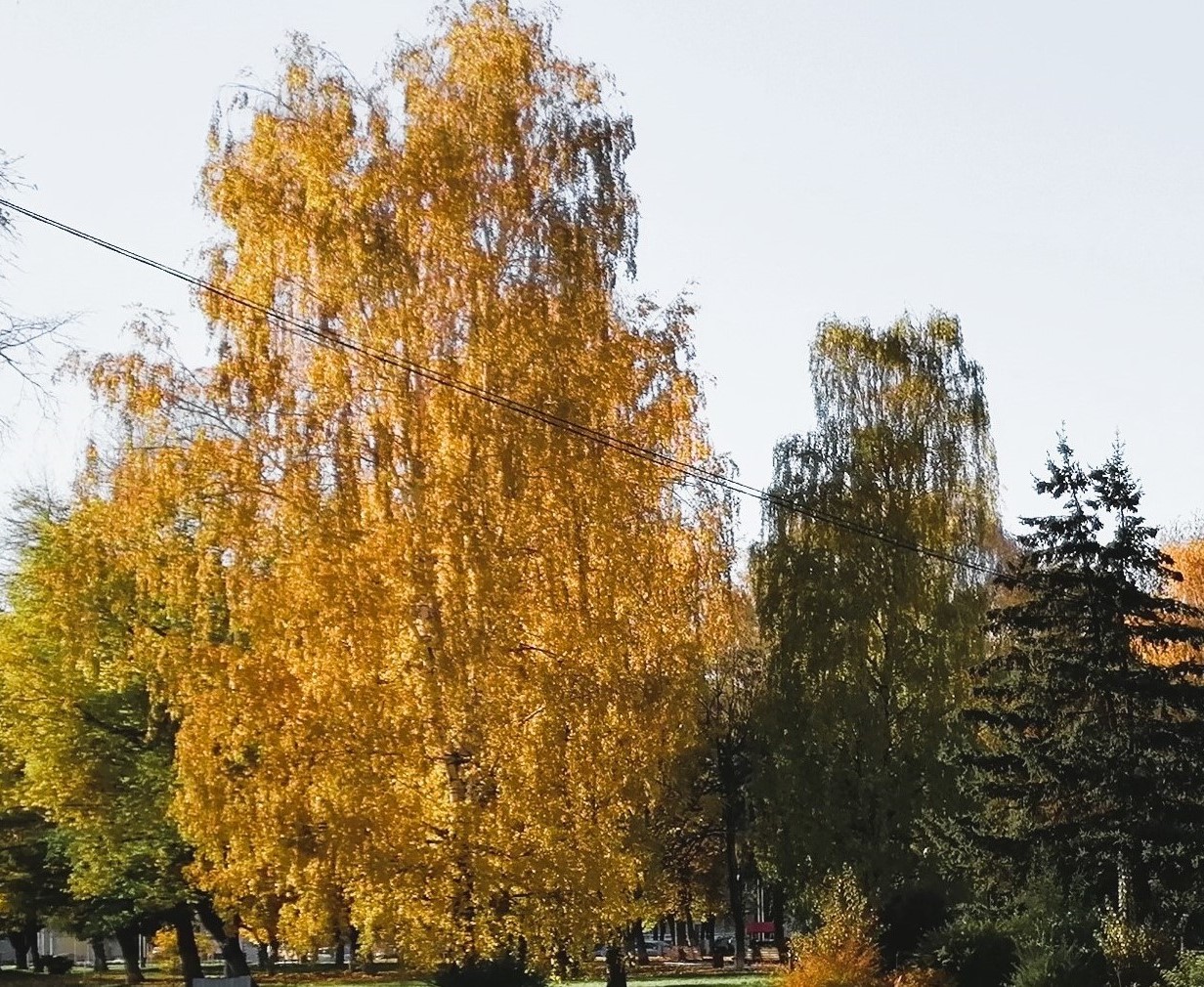 Рецензия 333 на осень