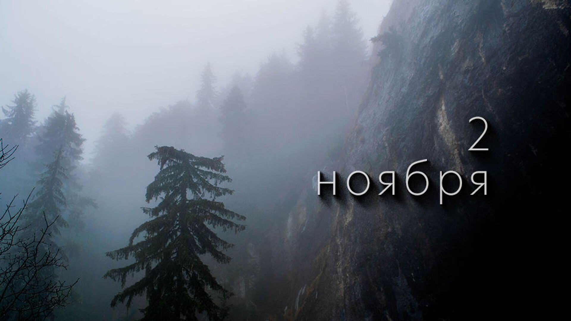 Второе ноября 2025 г