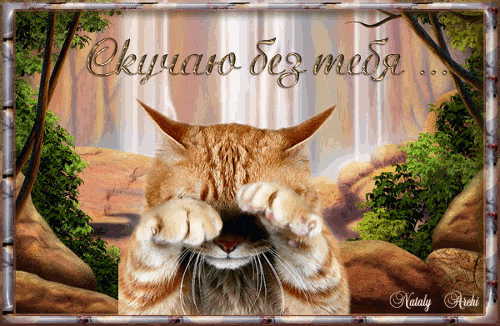 Джаз для Осеннего кота