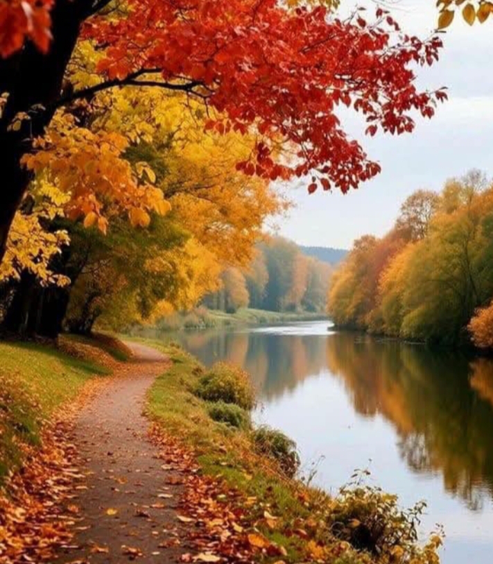 Осень в тиши рассветной