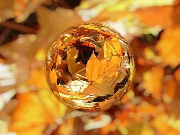 Золото октября