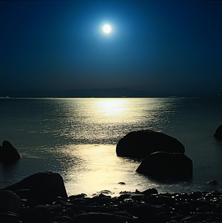 Одинокий берег