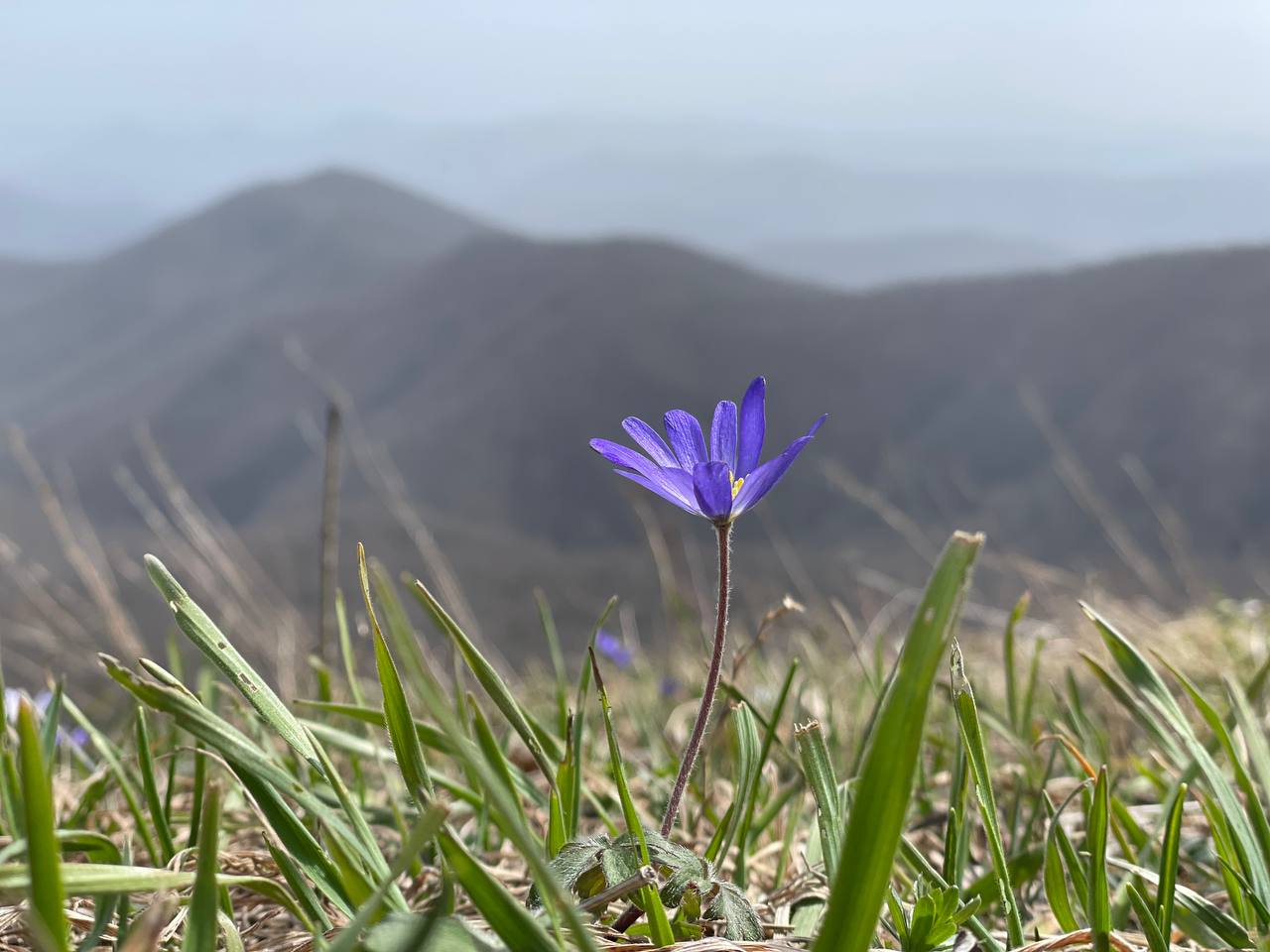 Виват, Historia! Vitam docet!