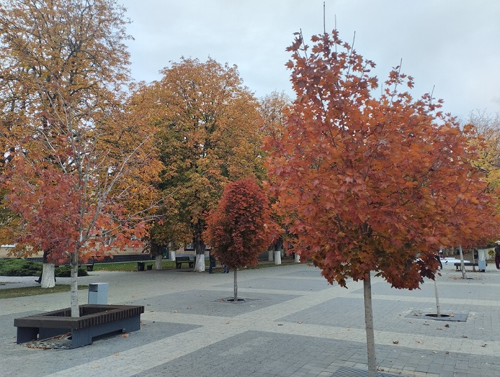 Начало ноября