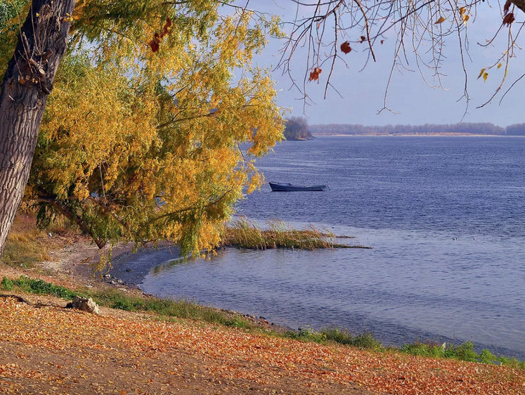 Прозрачен воздух ноября