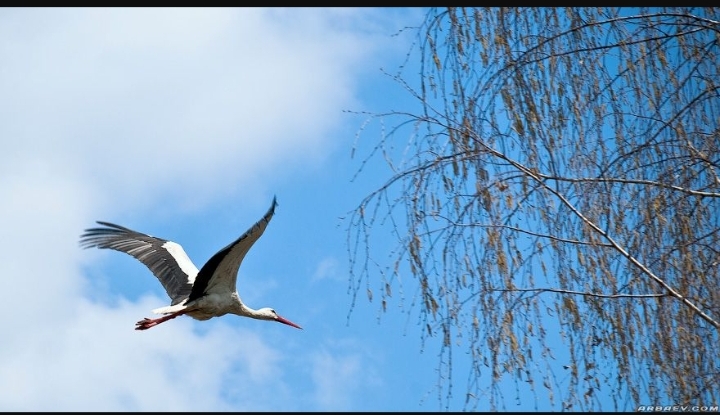 Вот и кончились