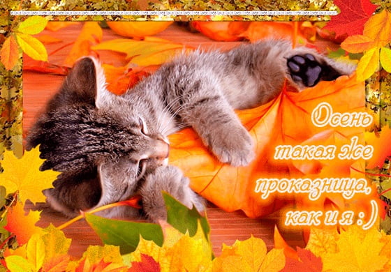 Снова солнышко шалит...