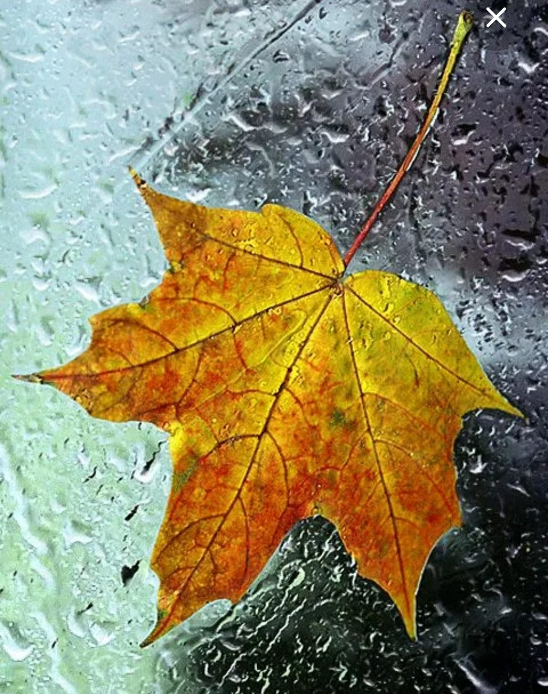 О нашей осени