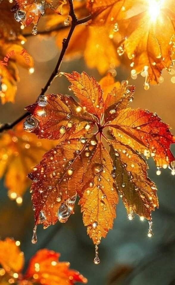 Ты же ждёшь! Песня. На конкурс по фразе