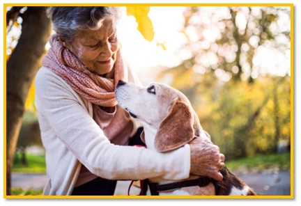 Два одиночества