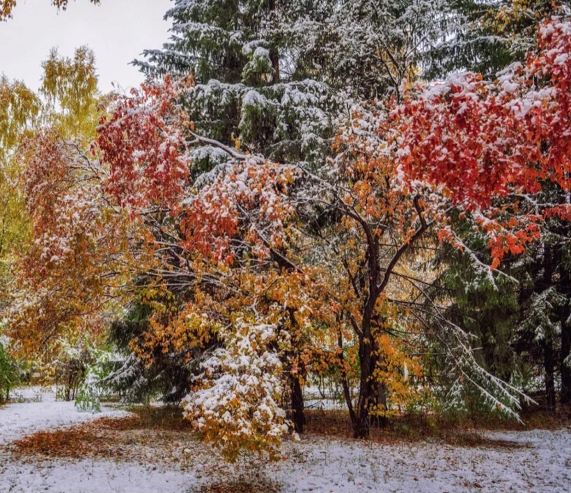 Посеребрила осень