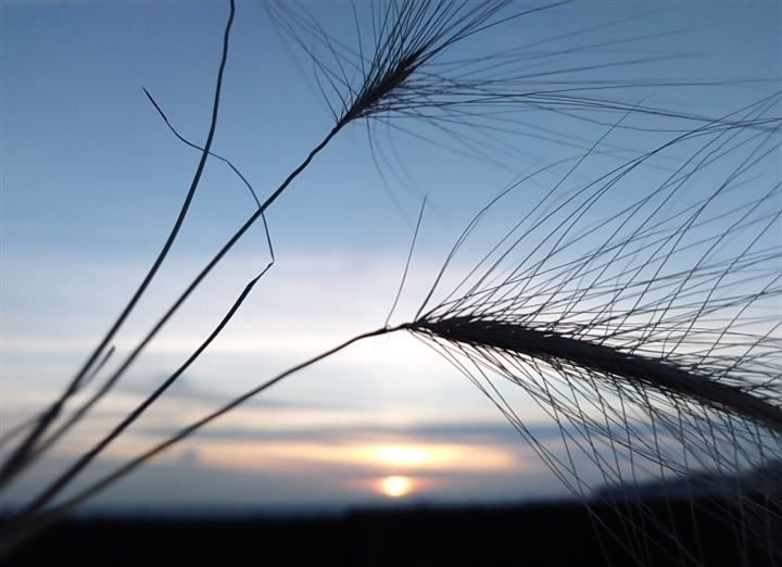 Не понарошку