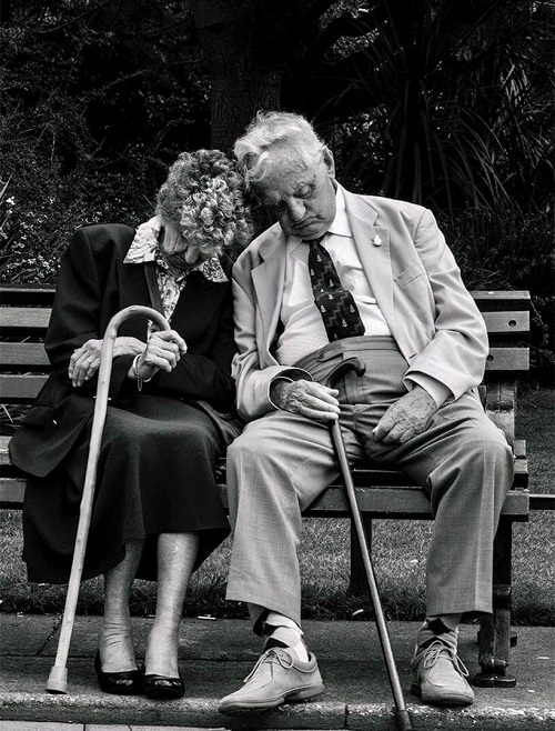 Попытки продлить старость...