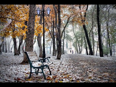 Чистота в подлунном мире...