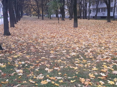 Ищу тебя, 10. 10. 2025