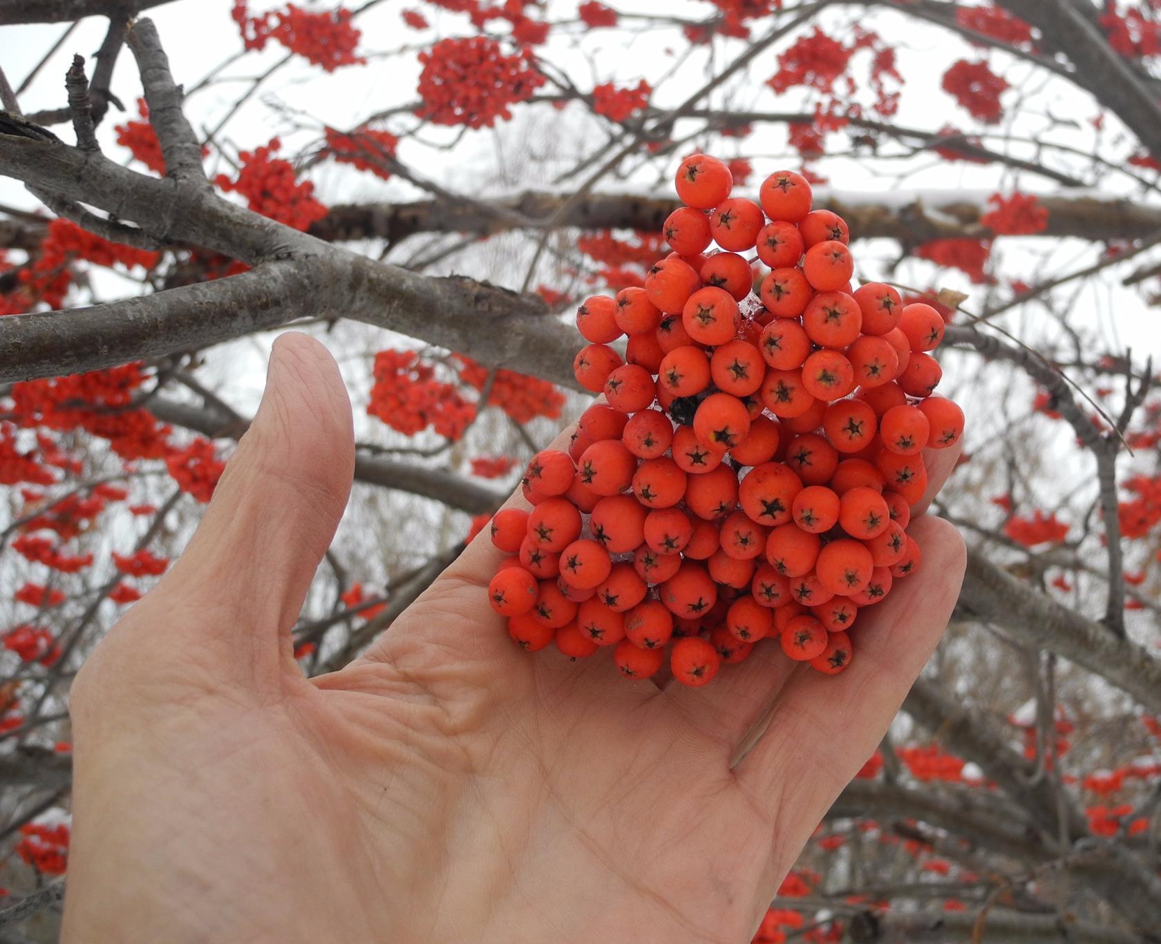 Прощанье с октябрём...