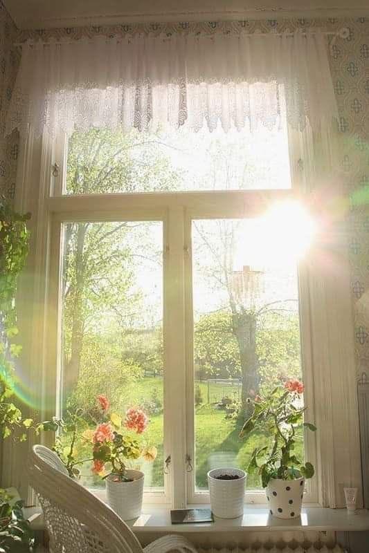 Не быть в виновности