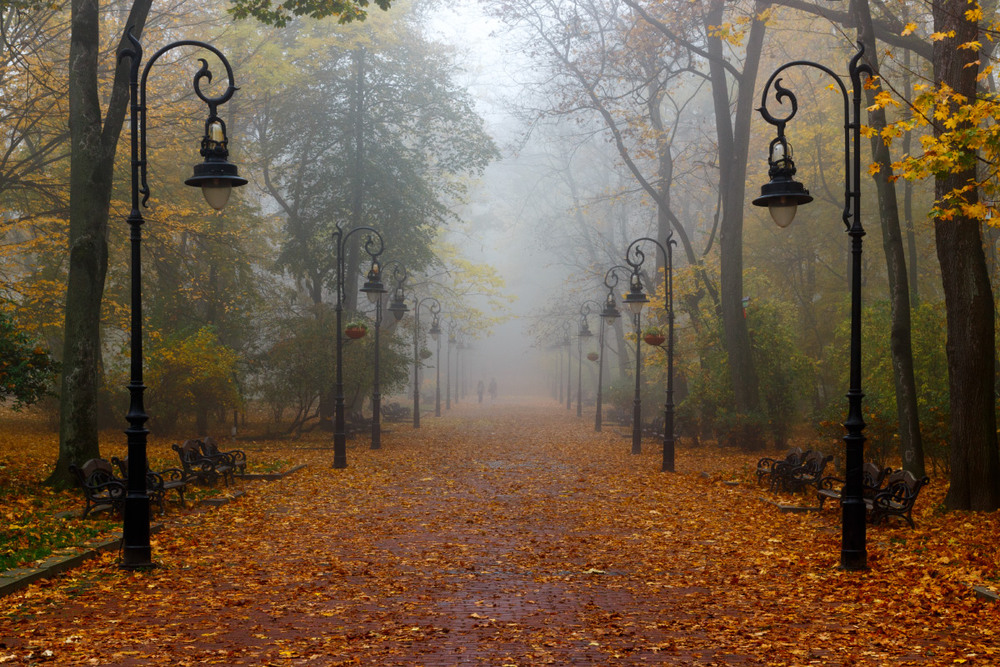 Туман. Ноябрьское утро...