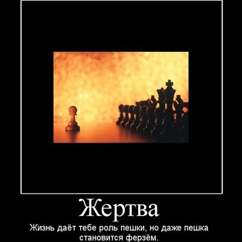 Жертва ферзя