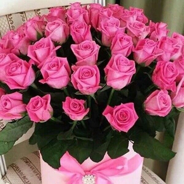 Ты вся море...