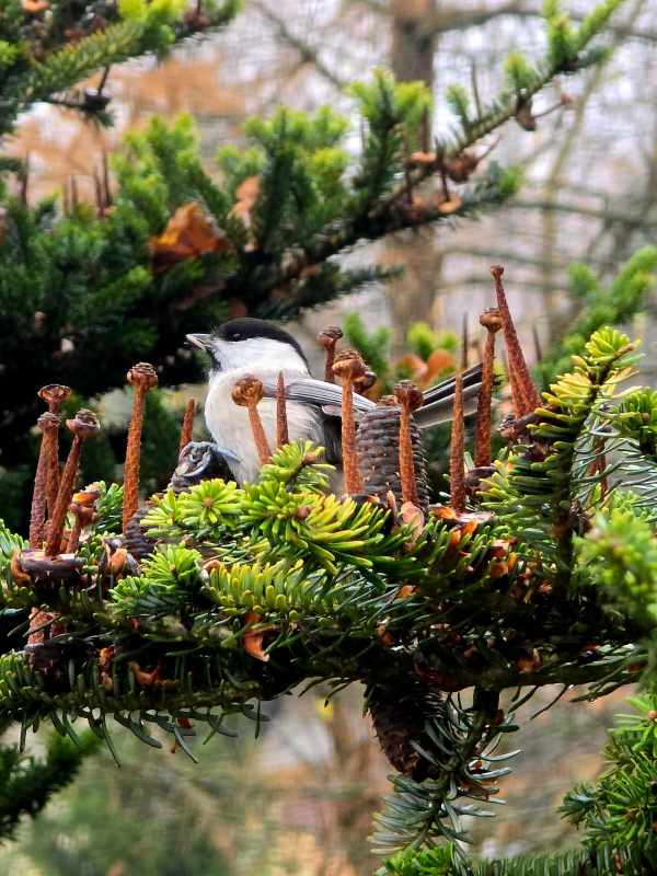 А это ж великая тайна...