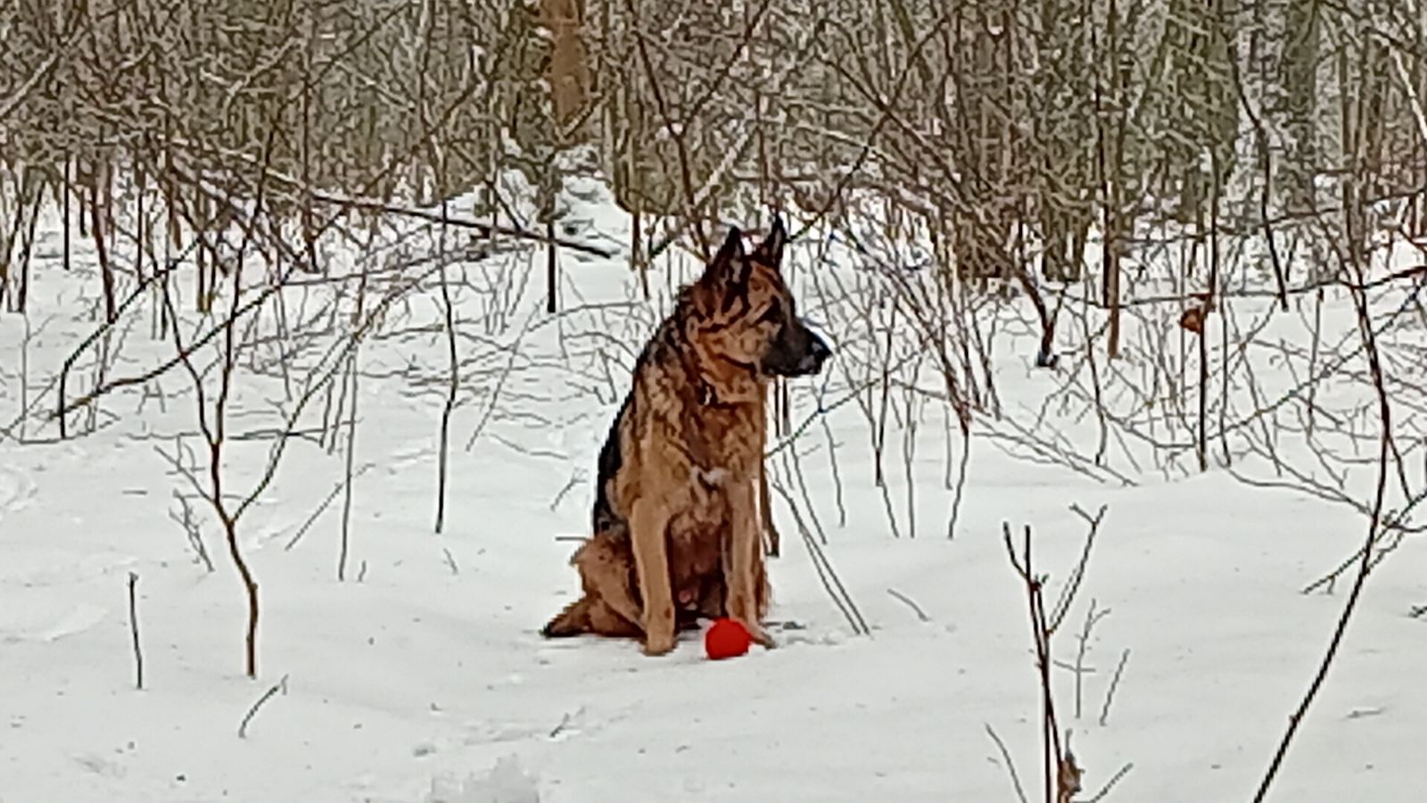 Герману, моему любимому Герке!