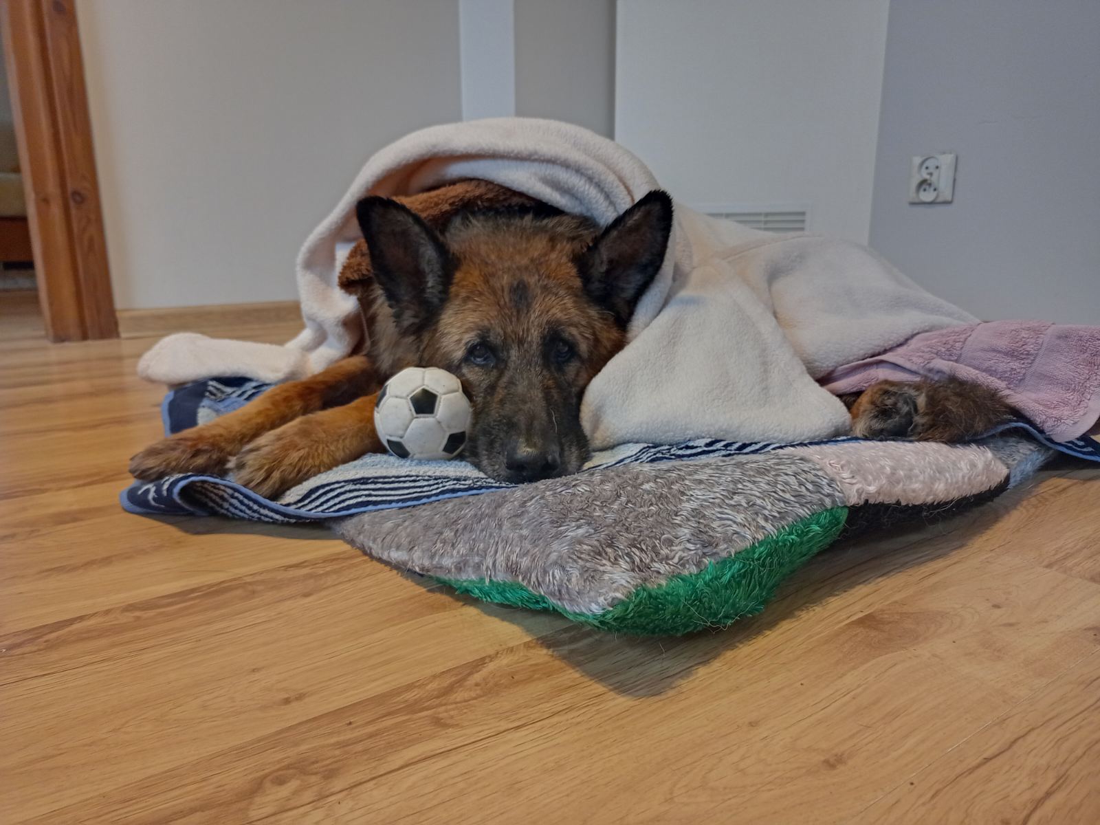 Гера, знаешь...