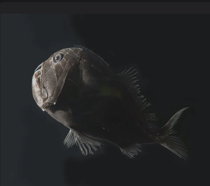 вот и поговорили