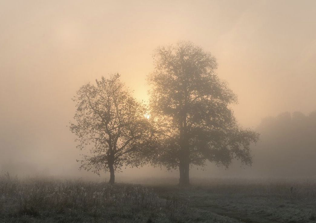 Уходит октябрь, оставляя рассвет