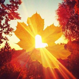 Осенняя любовь