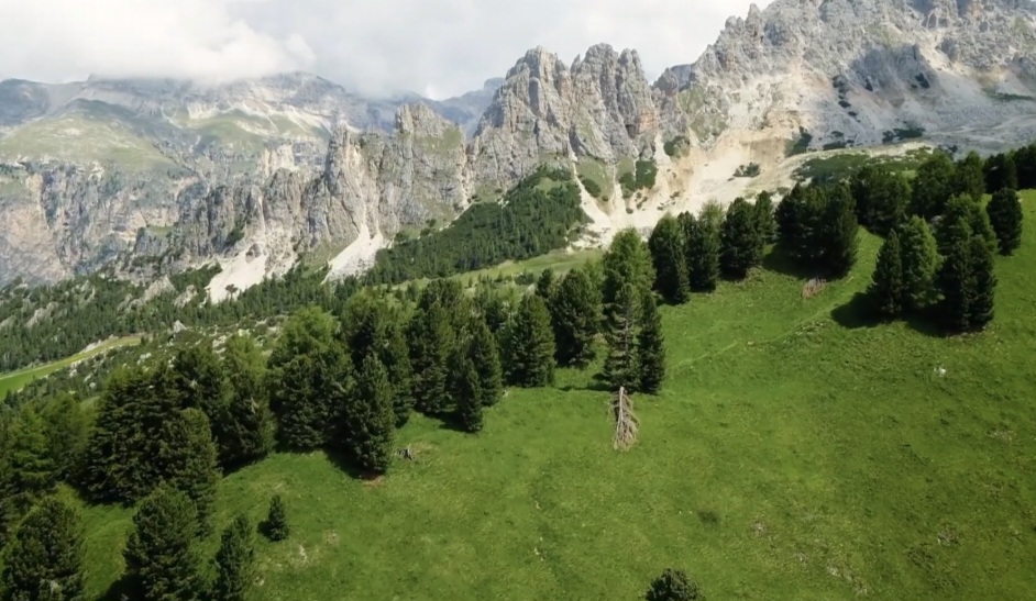 Живёт одна Душа