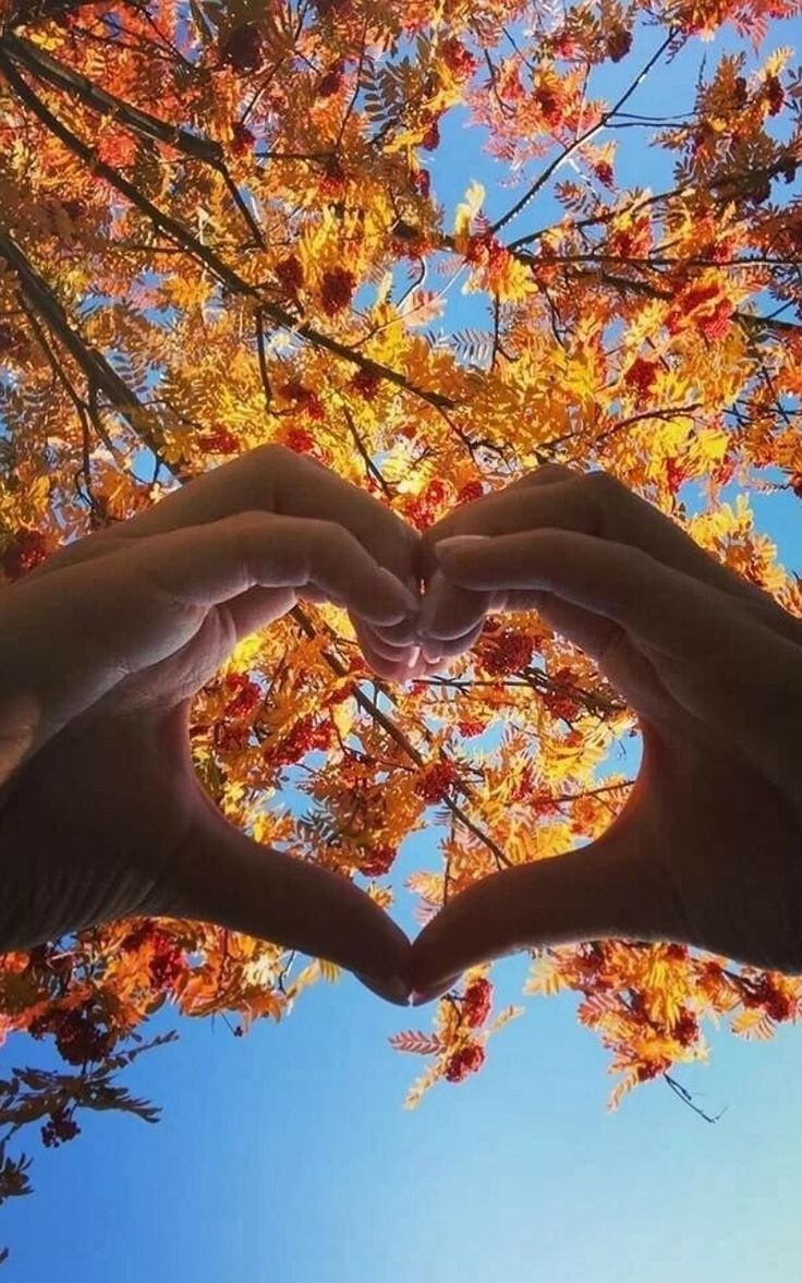 Солнечный ноябрь