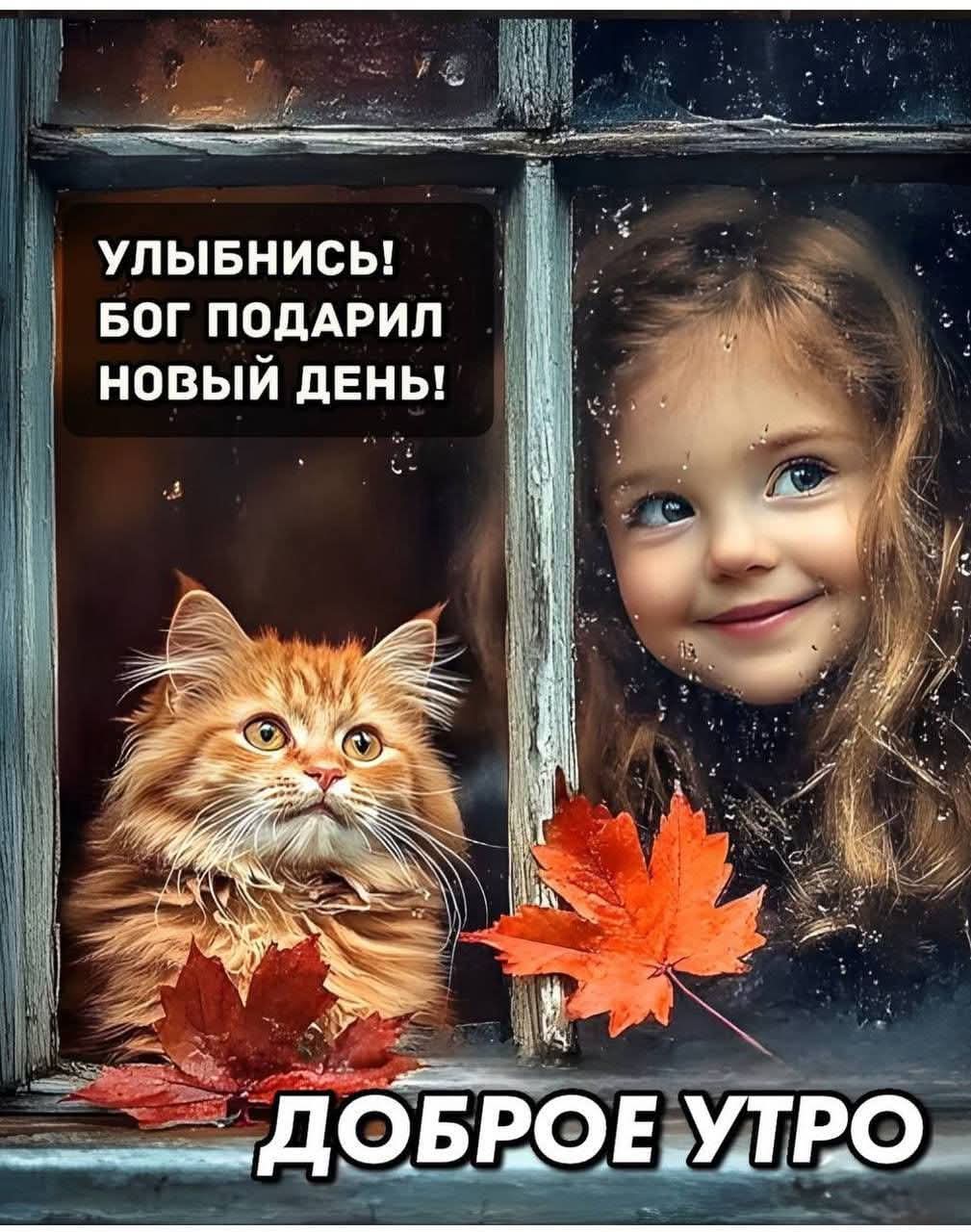 Привет Народ