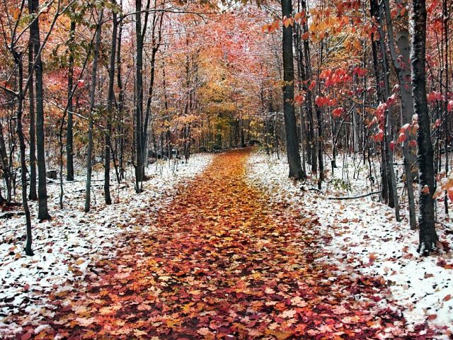 Ноябрь, день третий серебрится