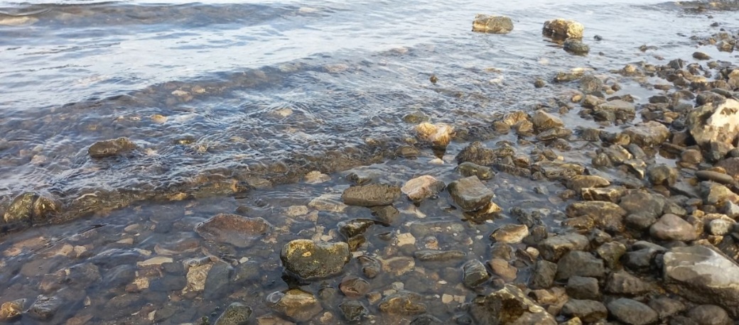 Музыка волны