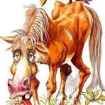 Плохо, когда нет Разума...