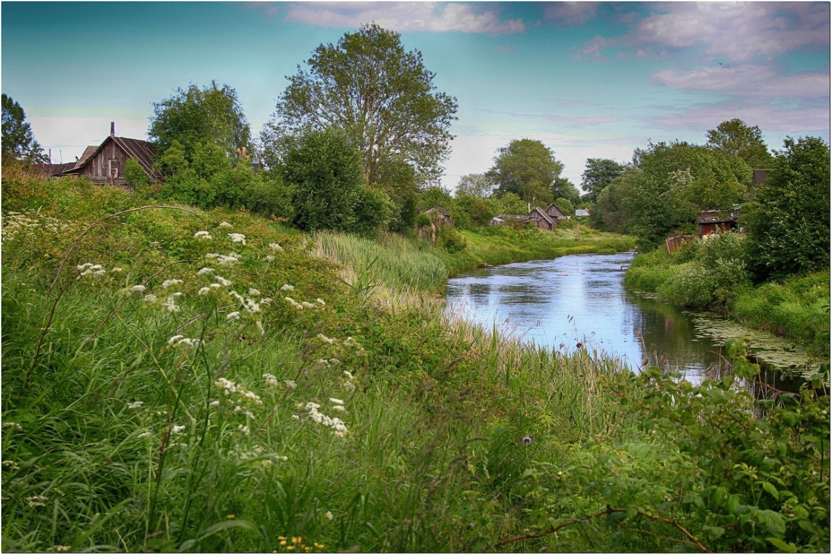 В Новгородской ТИши