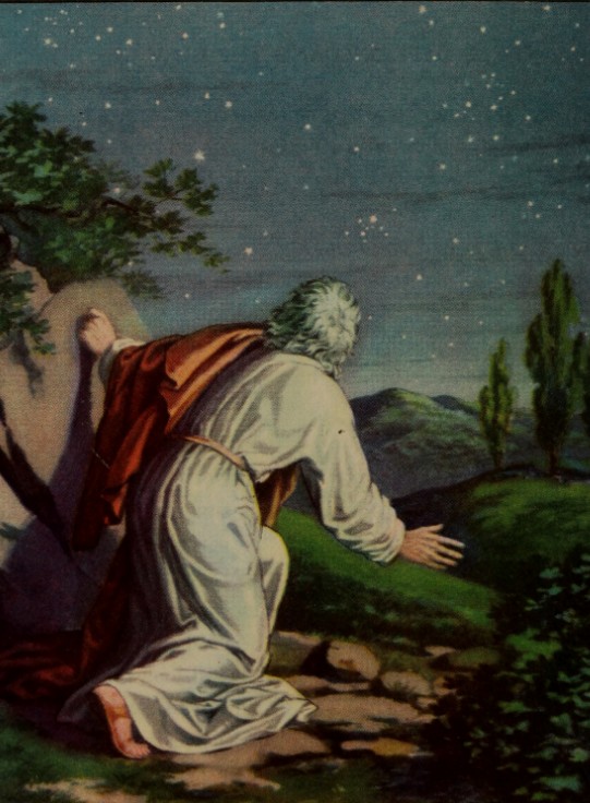 Под звёздным бисером Богов элегия