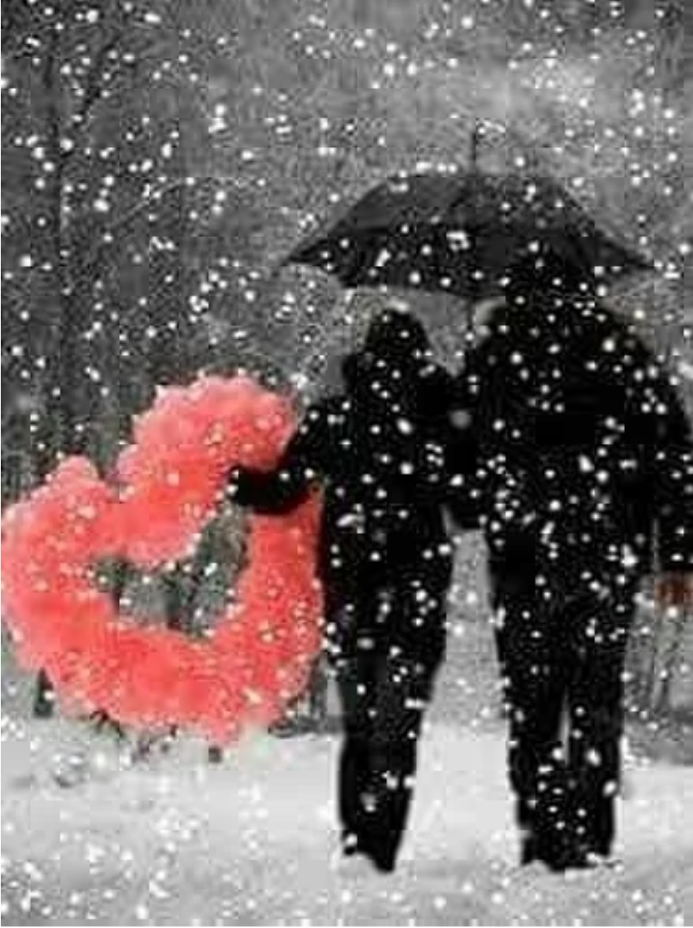 В старом саду