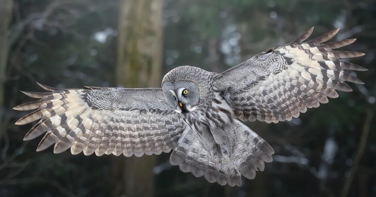 Отзовусь строкой неясною...