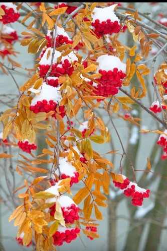 Удостоверюсь в этом лично! Ноябрь...