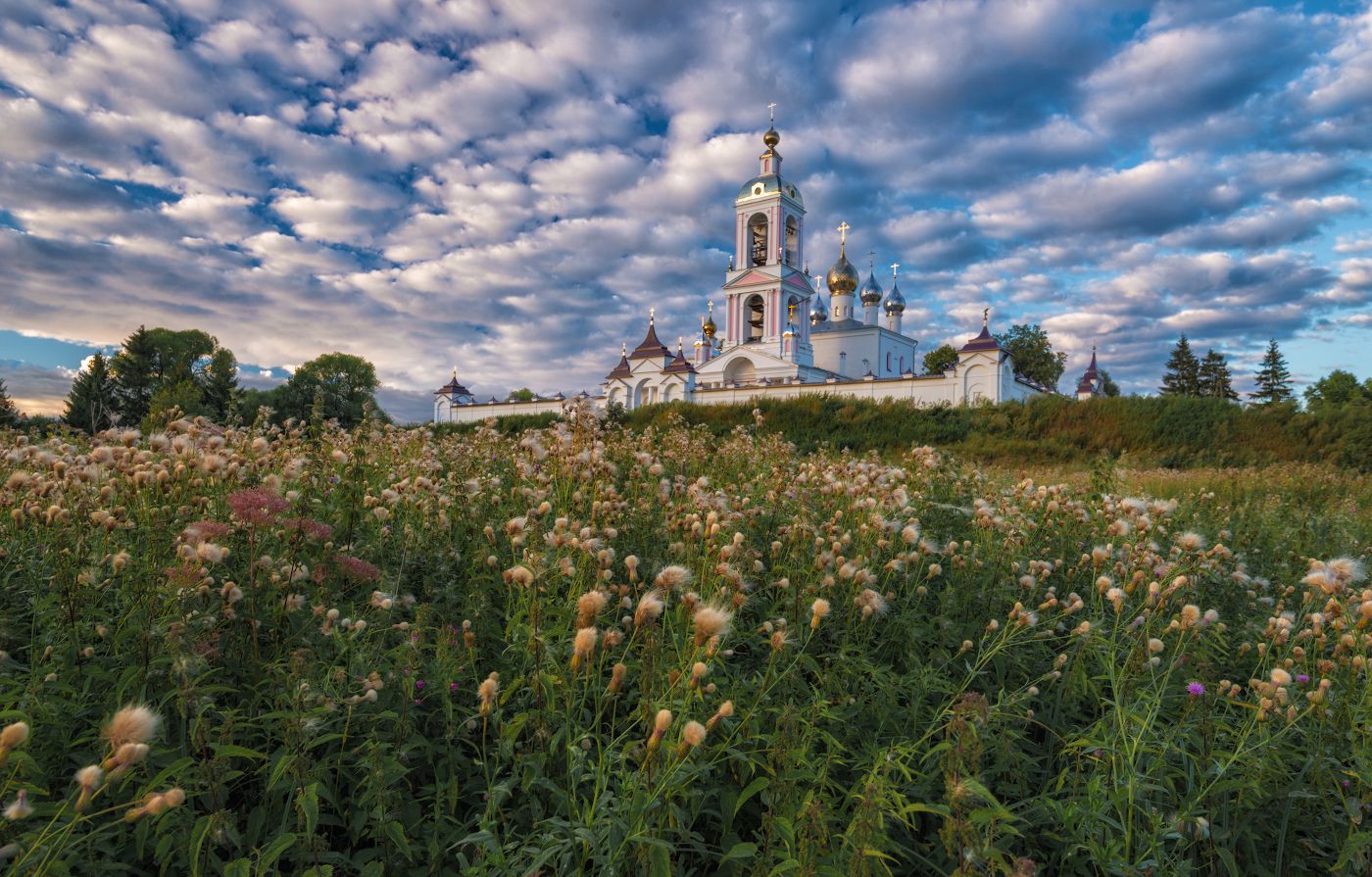 В полях России